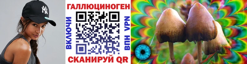 Галлюциногенные грибы Psilocybe  shop какой сайт  Волжск 