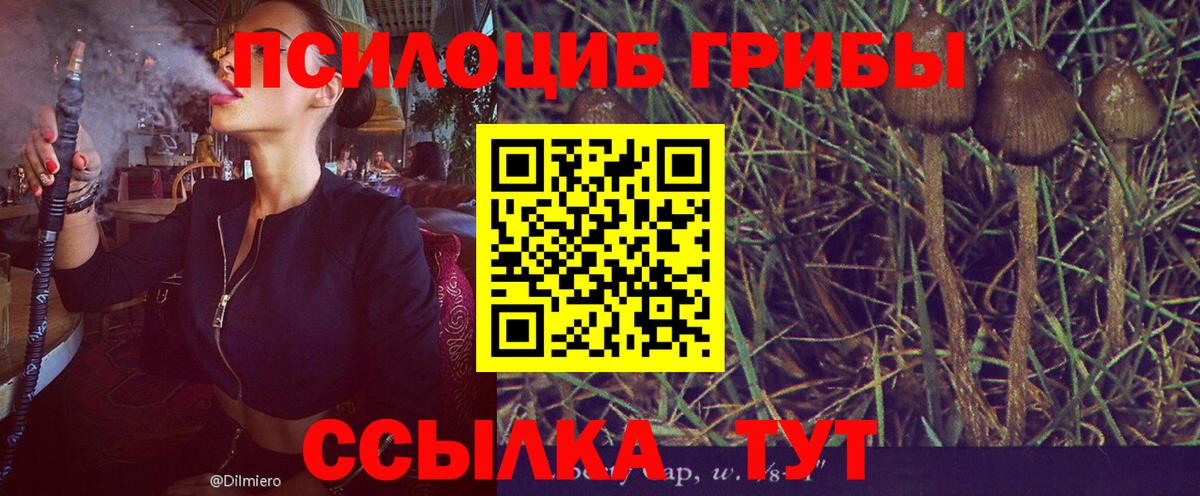 Галлюциногенные грибы мицелий  Волжск 