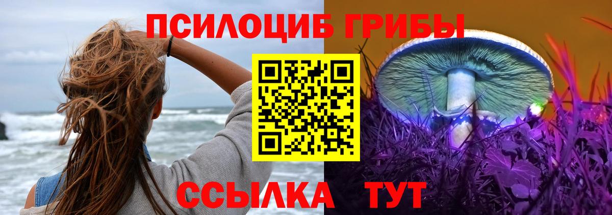 Галлюциногенные грибы Psilocybine cubensis  Галлюциногенные грибы мицелий  Вход с VPN  дарнет шоп  Волжск 