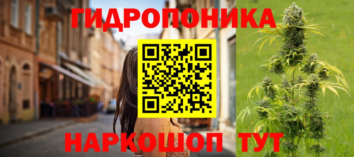 Конопля марихуана  Волжск  Конопля индика 